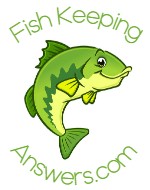 FishKeepingAnswers.com