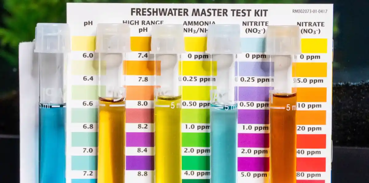 Best aquarium 2024 test kit